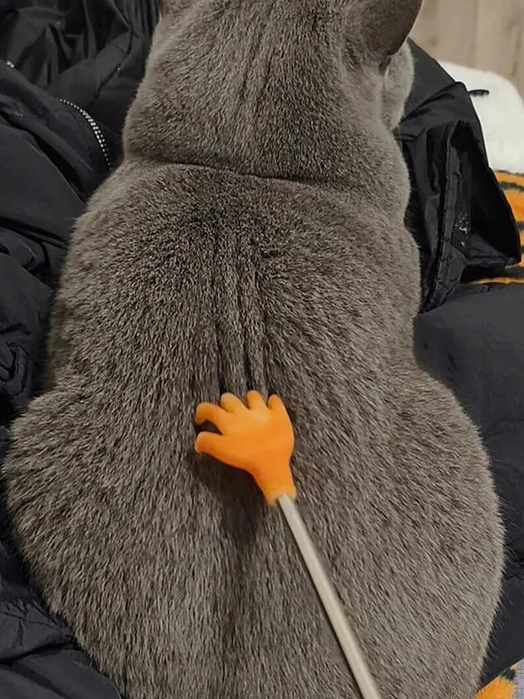 猫の中指について知っておくべき5つのポイントと、おすすめ3選
