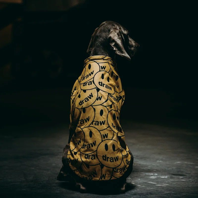 犬服夏用薄い通気性メッシュ抗脱落：通気性と汚れ防止の実用性を検証