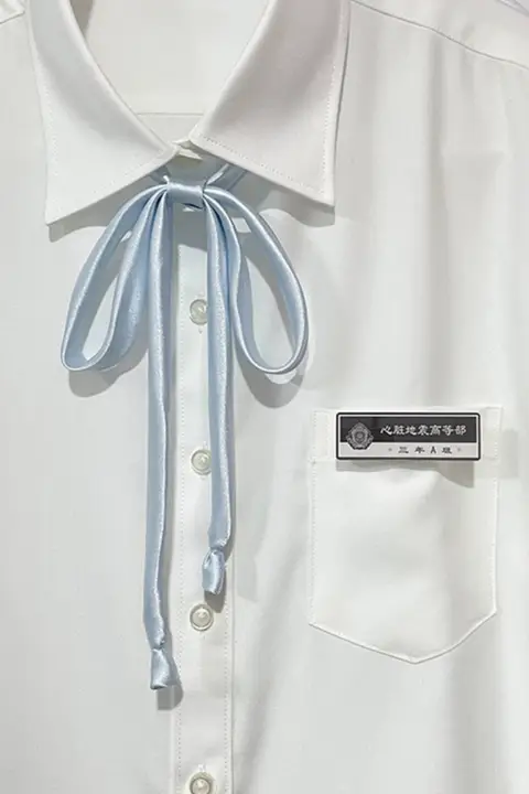 シンプルな制服用リボン【JKスタイル・カジュアルアクセサリー】（セットアップ対応）