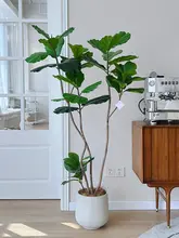 リアルな観葉植物 アダンソニア【インテリア装飾・高級感ある造花・観葉植物】