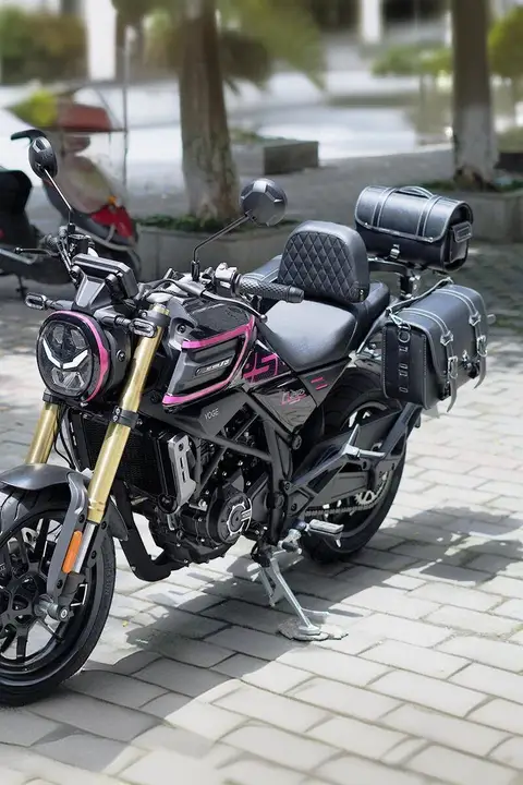 バイク用 折りたたみ式バックレスト【春風450・多機種対応】