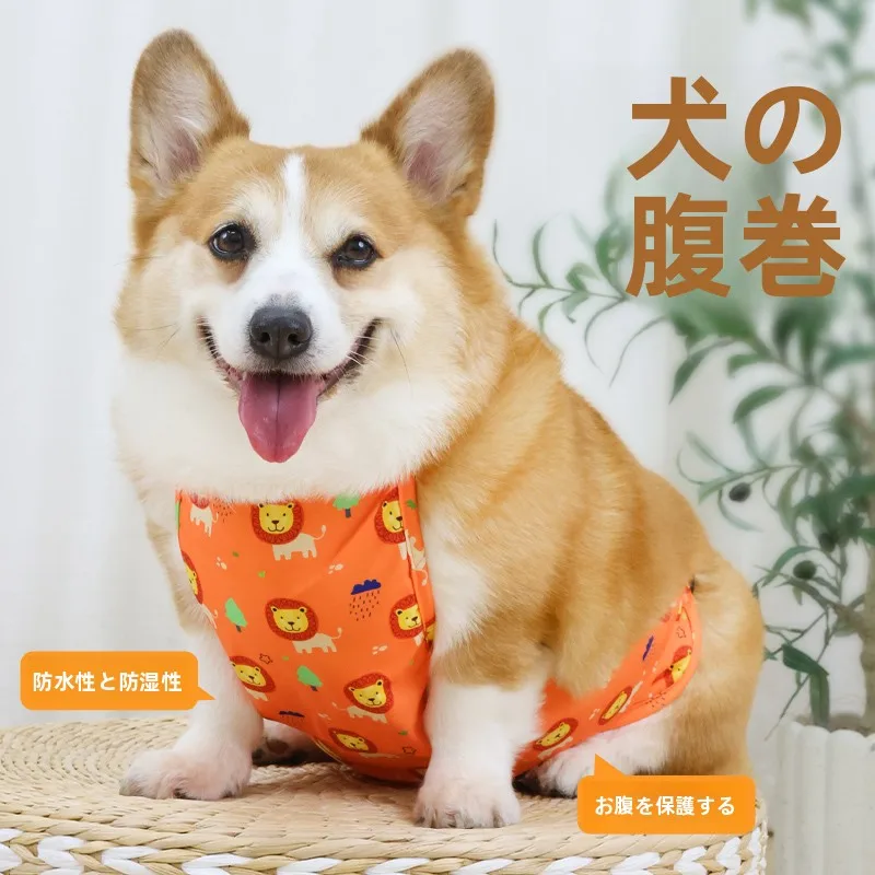 災害時にも安心できる犬の「腹巻き」は、どう選ぶべきか？