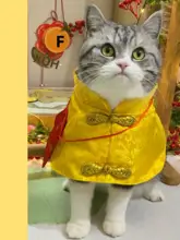 猫服 ペットウェア ケープ マント チャイナ  テイスト 黄色 お正月 迎春 冬