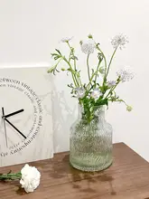 透明ガラス製 魚用鉢【リビング・ダイニング・カフェ用・水耕花瓶】