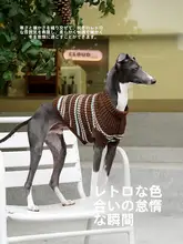 ZEZE ストライプニット犬服【冬用・保温・猫用・ペット用ベスト】