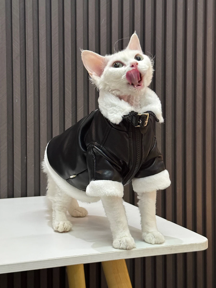 スフィンクス猫向け加毛厚手冬用ジャケット：一人暮らしの寒さ対策に最適なレザー素材の選択
