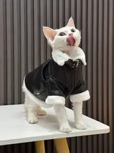 加毛厚手の冬用ジャケット【スフィンクス猫向け・レザー素材】