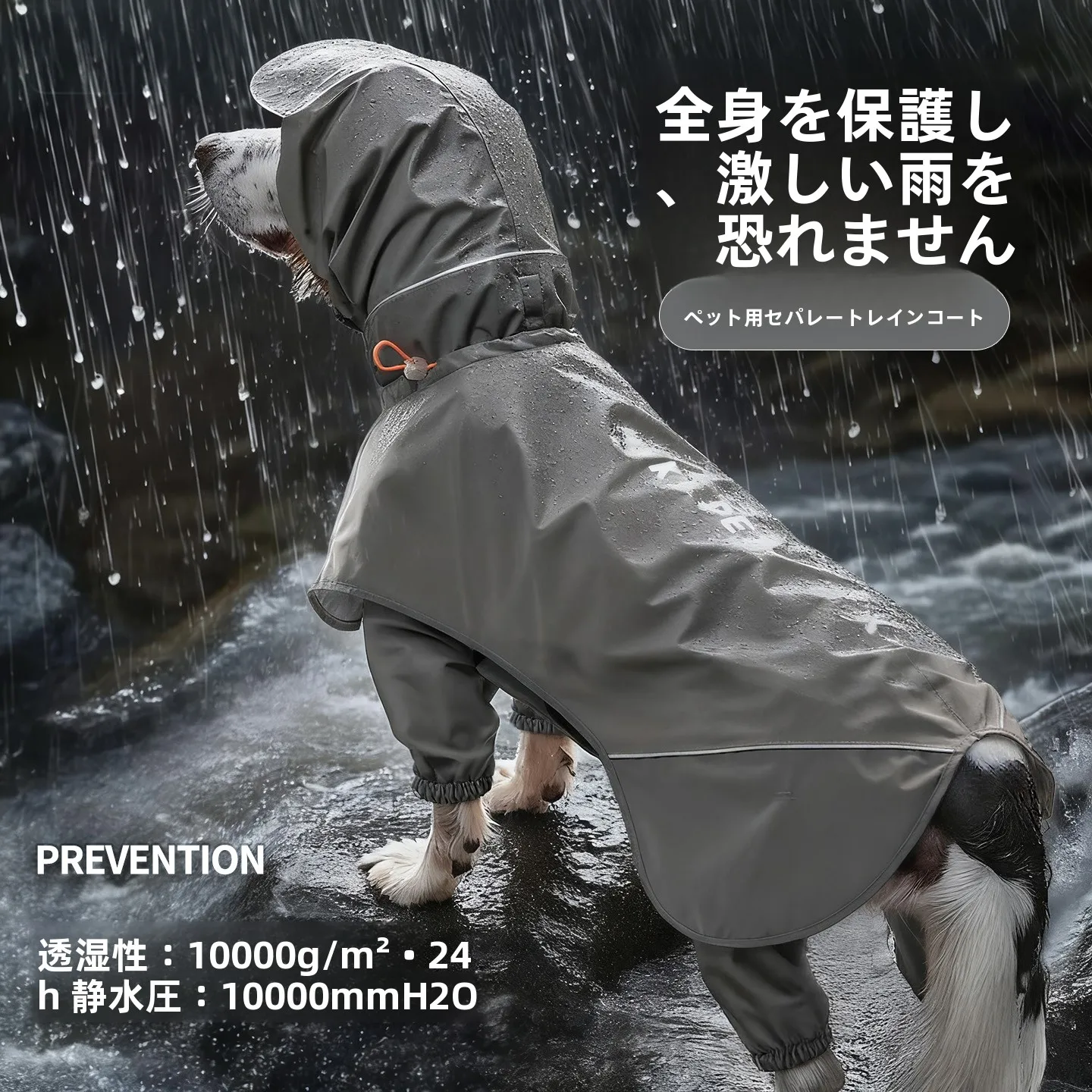 犬のお散歩グッズをコスパ良く揃える方法｜風雨対策と着脱のしやすさを徹底解説