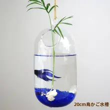 壁掛けガラス花瓶【透明・水耕栽培・アイビー向け・インテリア装飾】