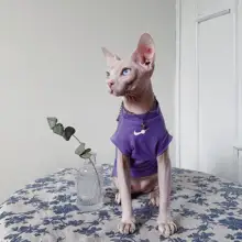 無毛猫用Tシャツ【カジュアル・春夏用・コットン・複数色】（セットアップ対応）