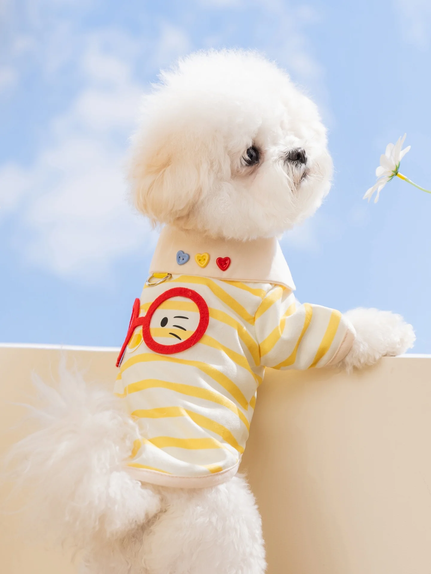 hipidog 犬用夏用薄手カートゥーン柄ストライプ服：通気性とデザインのバランスを実現