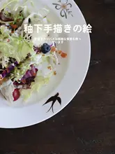 皿 食器 家庭用 陶器 手描き ラグジュアリー