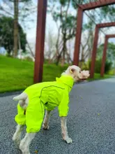 ペット用防水犬用レインコート【春夏用・チワワ・ビションフリーゼ・テディベア向け・カラフル】