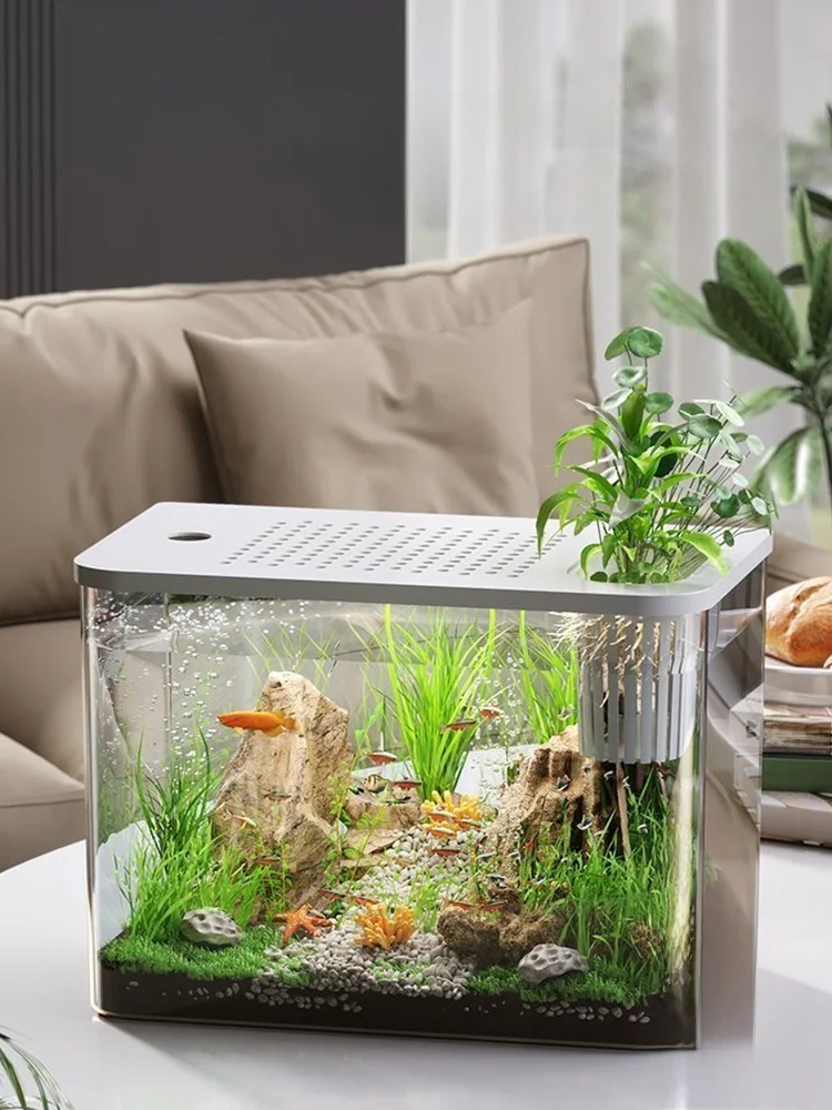 金魚水草セット：浮遊式小型水槽のエコデザインと負圧システムによる水質管理