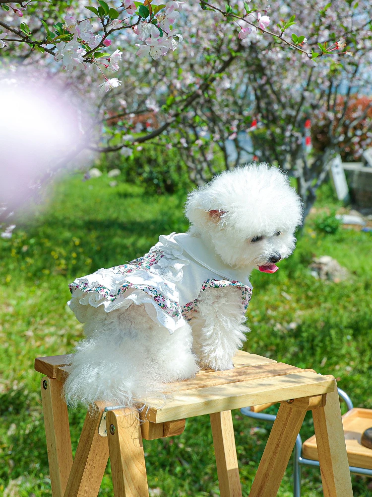 犬用ドレス【パーティー・可愛い公主デザイン・小型犬用】：小型犬向けの通気性とデザインバランスを実現