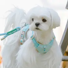 犬用ハーネス型リード【中小型犬用・快適な装着感】