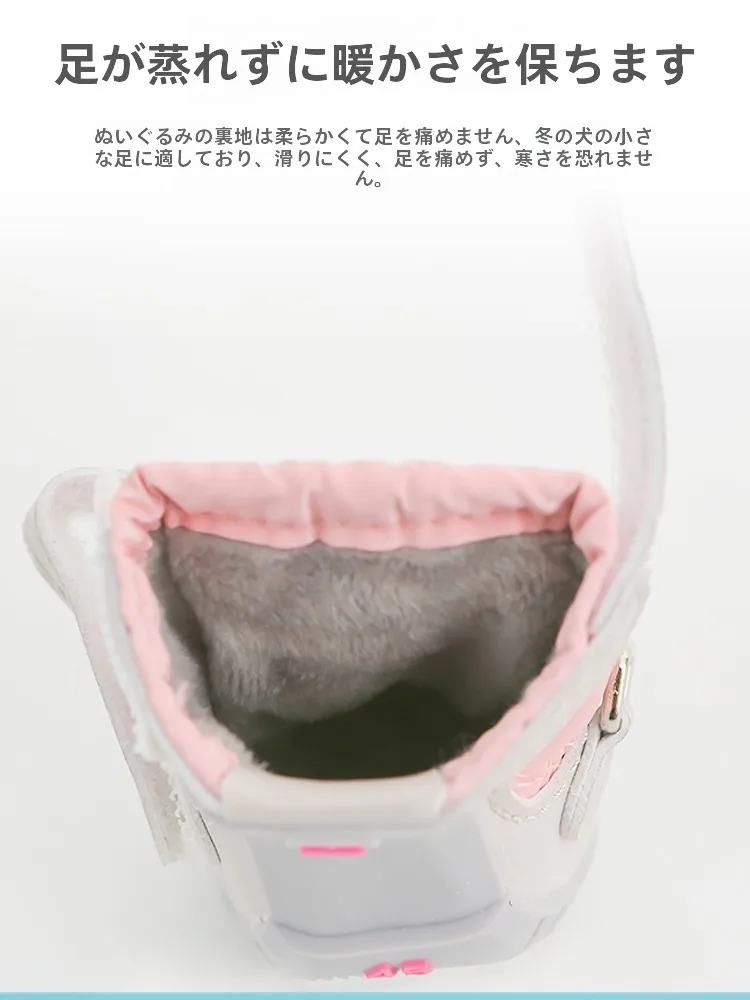 犬のお散歩グッズをコスパ良く揃える方法　チェコ素材の靴が実証する安心の選び方
