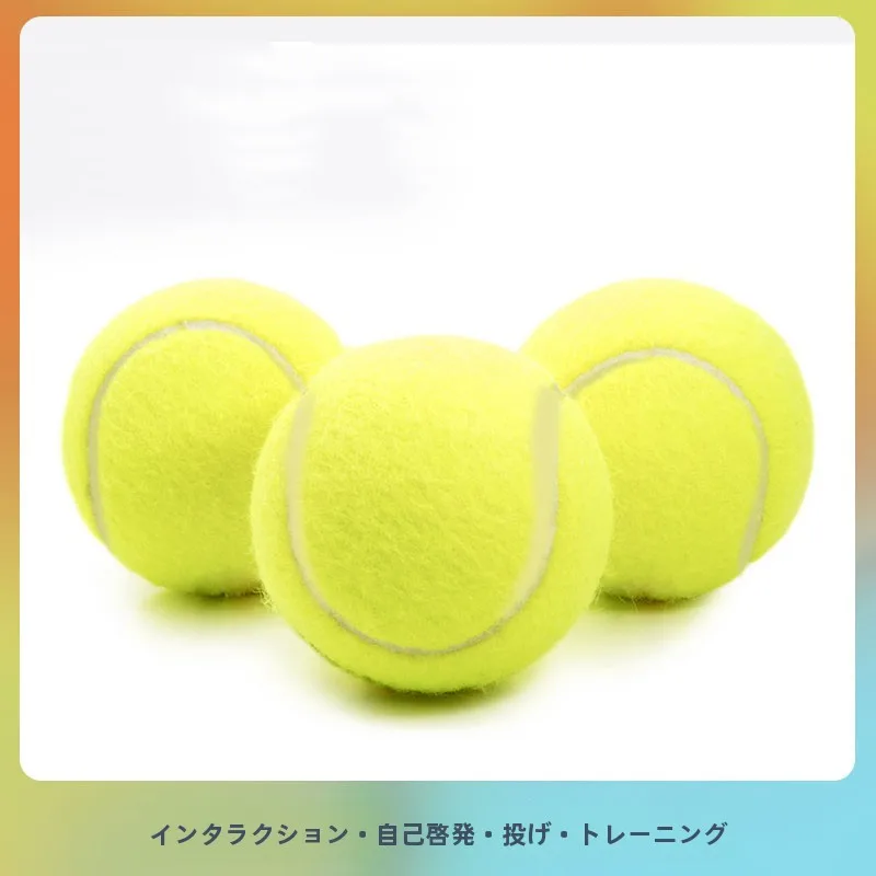 犬のお散歩グッズをコスパ良く揃える方法　徹底解説・選び方のポイント