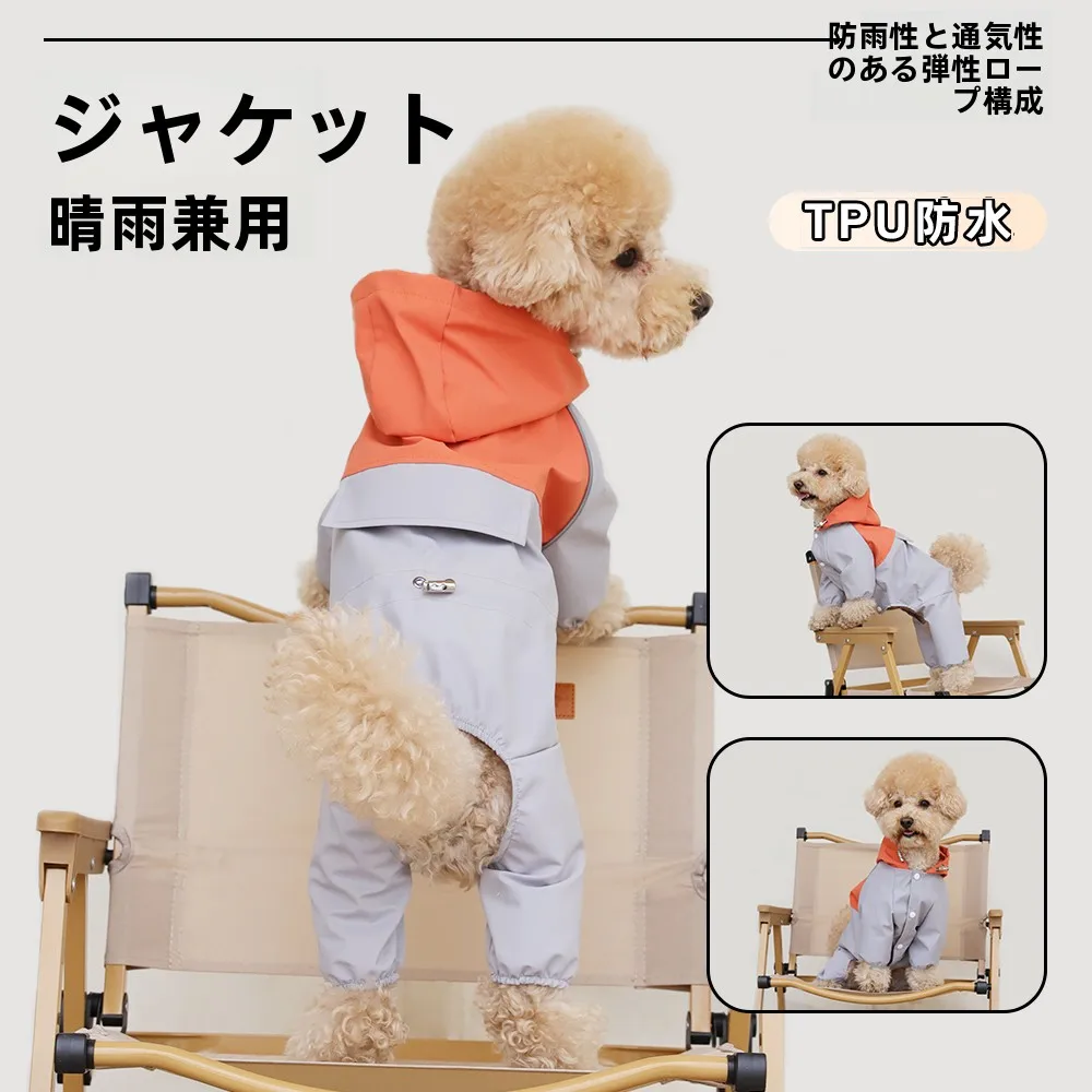 犬のお散歩グッズをコスパ良く揃える方法｜晴雨兼用レインコートの選び方と実際の使い方