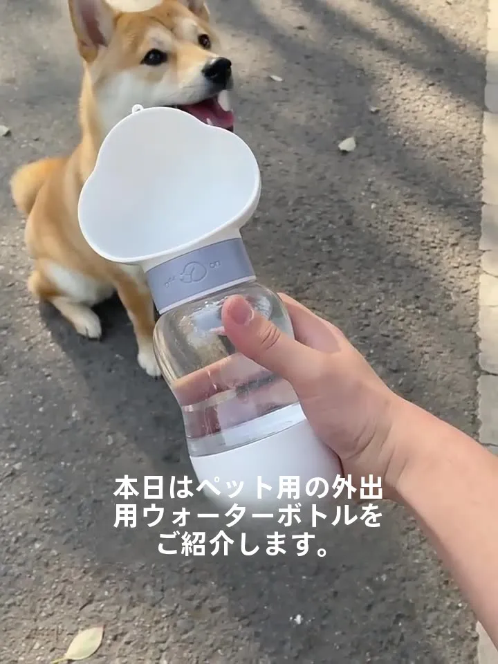 犬の給水器 ペットボトル で解決する、水を飲むのが面倒な日々とは？厳選3選