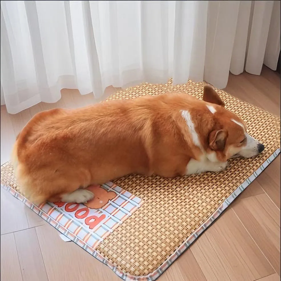 ペット用夏用冷却マット：マンション飼い初心者に最適な通気性と抗噛み設計