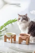 猫犬兼用 陶器製 ペットフードボウル【竹製スタンド・高脚・お洒落デザイン】