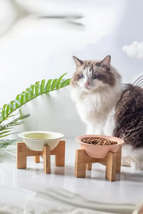 猫犬兼用 陶器製 ペットフードボウル【竹製スタンド・高脚・お洒落デザイン】