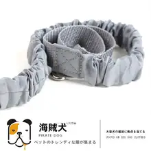 中型犬・大型犬用 散歩トレーニングリードセット【胸部ハーネス・ランニング用・テディ＆ゴールデンレトリバー対応】