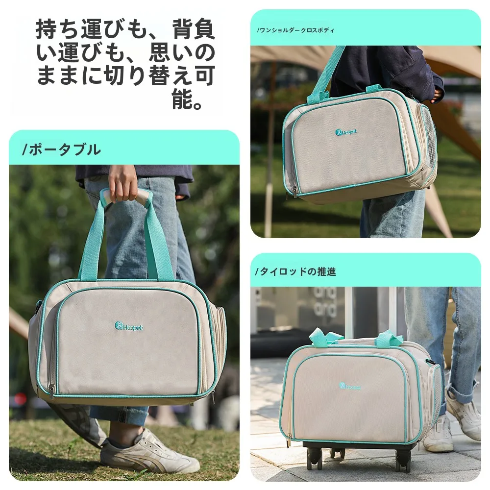 くまのポーチとは？実際の使い方やおすすめ選び方を徹底解説