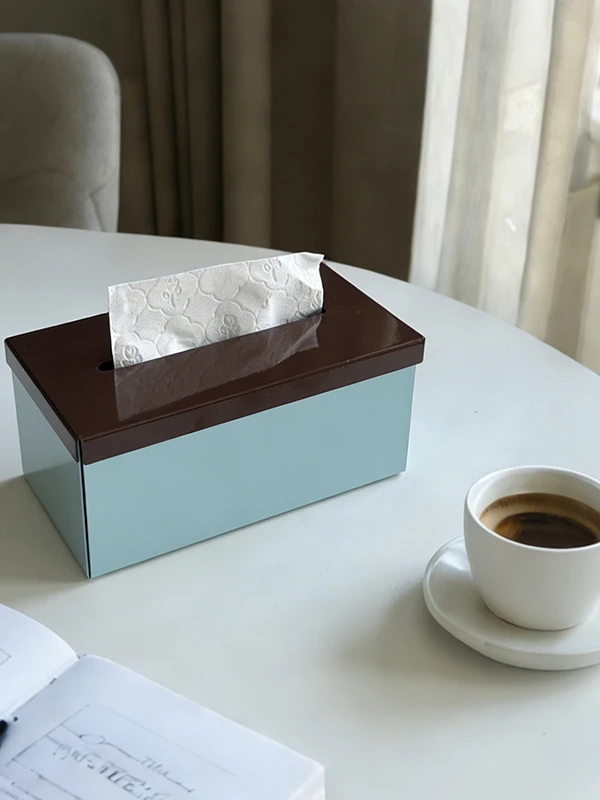 おしゃれな二色使いのティッシュボックス：一人暮らし用デザイン収納の実用性と空間節約効果