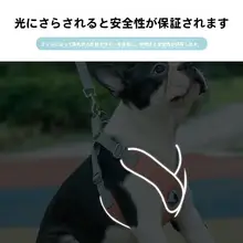 小型犬用ハーネスリード【胸部サポート・お出かけ用】（セットアップ対応）
