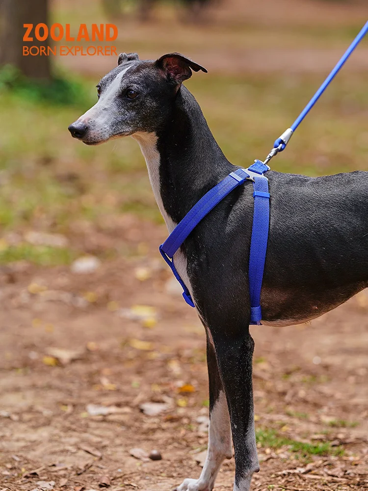 犬のお散歩グッズをコスパ良く揃える方法｜引き締めない設計で安心なハーネス選びの完全ガイド