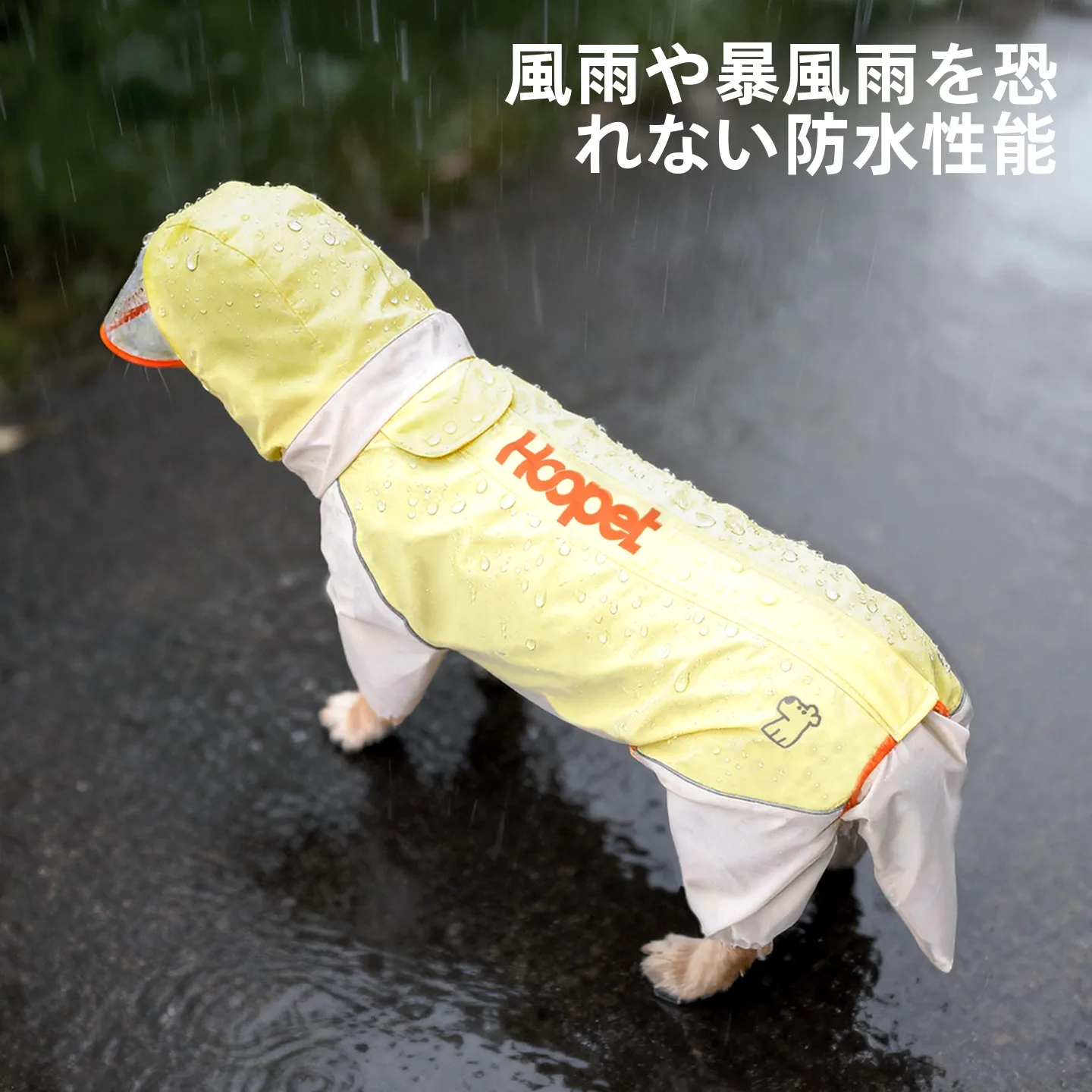 犬のお散歩グッズをコスパ良く揃える方法｜サイズ選びとタイプ別選びの完全ガイド