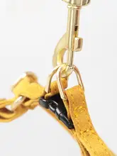 犬用ハーネスリード【調節可能・小型犬用・テディベア・ペット用品】