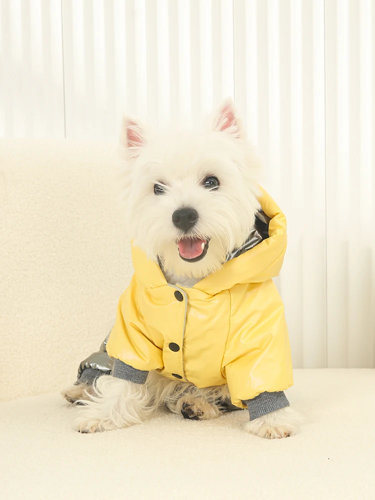 犬のお散歩グッズをコスパ良く揃える方法 - 冬用厚手コートの保温性能とサイズ選定ガイド