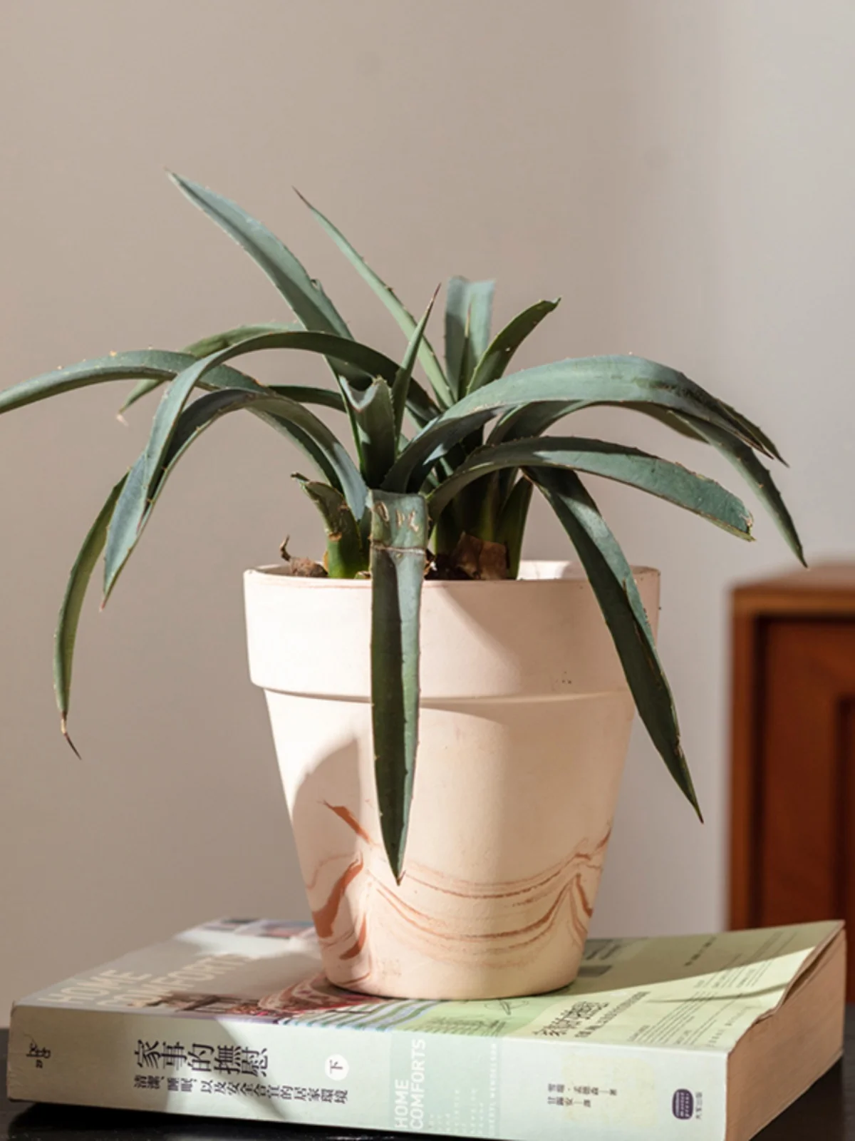 安い観葉植物用の鉢を選ぶときに迷うのは、本当に価格だけなのか？
