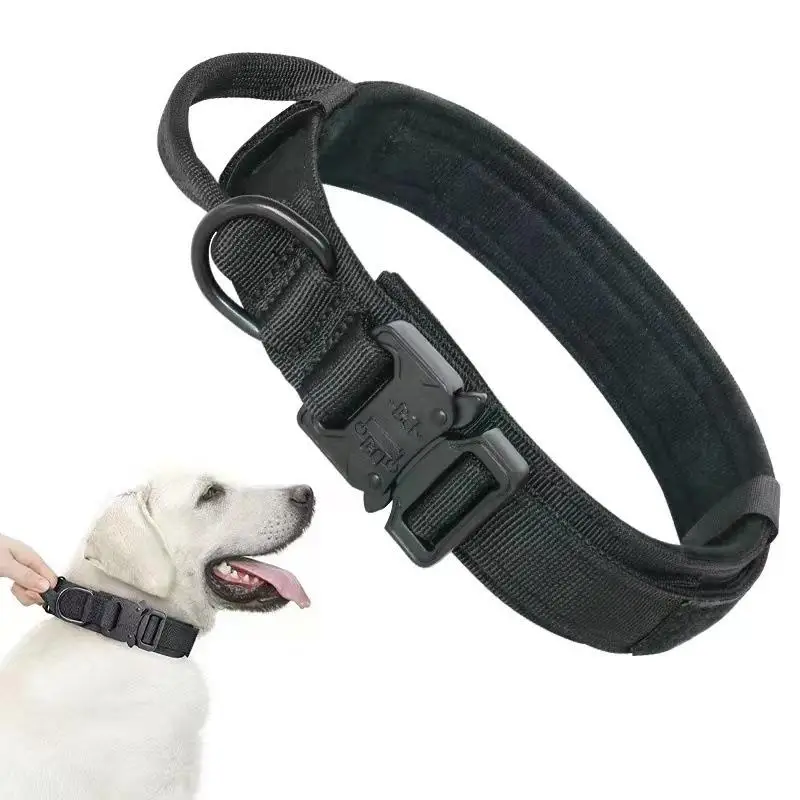 犬のお散歩グッズをコスパ良く揃える方法 - ハウンド犬用タクティカル首輪の機能とサイズ選定