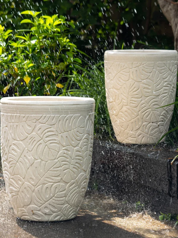 日陰でも育つ植物を屋外で育てるなら、まずはこの花盆から選ぶべき？
