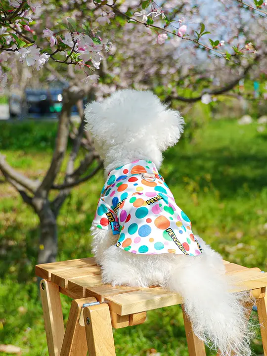 愛らしいデザインの夏用犬用シャツ【通気性抜群・薄手・小型犬用】