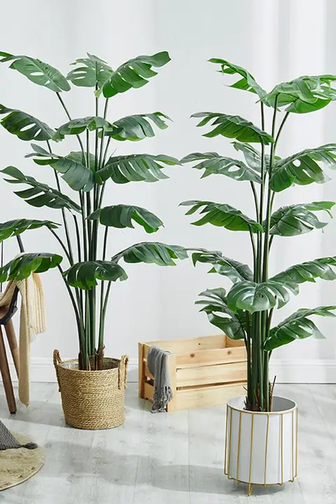 モンステラ 植物 装飾 大型ポット 室内 リビングルーム 高品質
