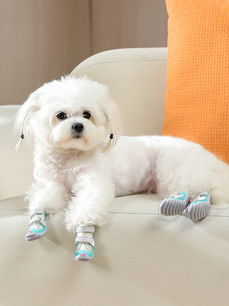 犬のお散歩グッズをコスパ良く揃える方法　完全ガイド：防水靴の実用性と選び方