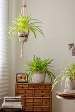 フェイクグリーンプランツ 吊りバスケット 植物ウォールデコレーション