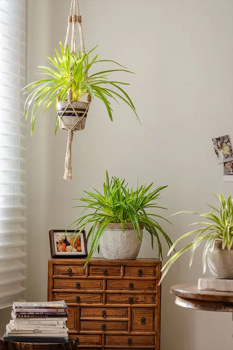 フェイクグリーンプランツ 吊りバスケット 植物ウォールデコレーション