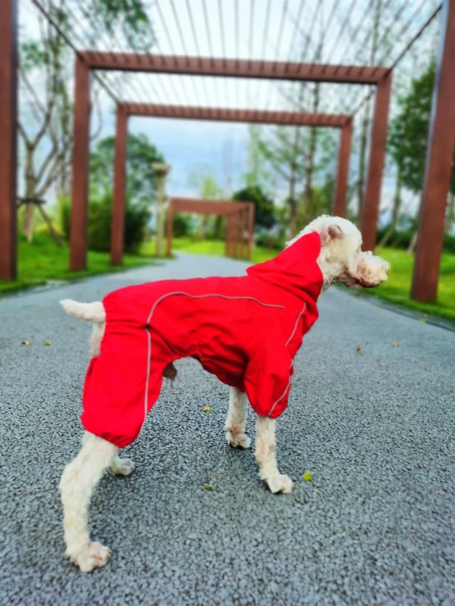 犬のお散歩グッズをコスパ良く揃える方法 - ペット用防水レインコートの技術的背景