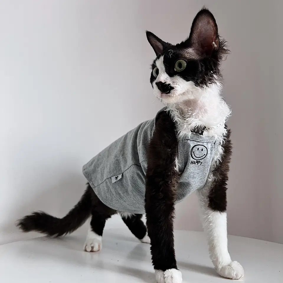 夏用薄手コットン製フレンチトーストデザインの猫用タンクトップ【インスタ風・スフィンクス猫用】