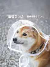 ペット用レインコート【透明・中型犬・小型犬対応・お腹保護デザイン】