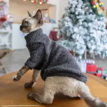 GINGERAIN 無毛猫用セーター【秋冬用・保温・耐汚れデザイン】