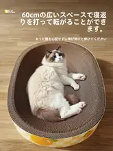 猫爪磨きとベッド一体型クッション【極上の柔らかさ・大型・楕円形・段ボール製】