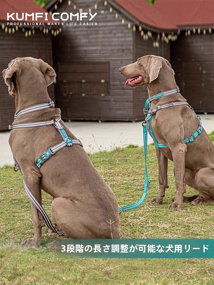 犬のリードハーネスを選ぶときに迷うのは、本当に「ファンタジー」か「ライフ」か？