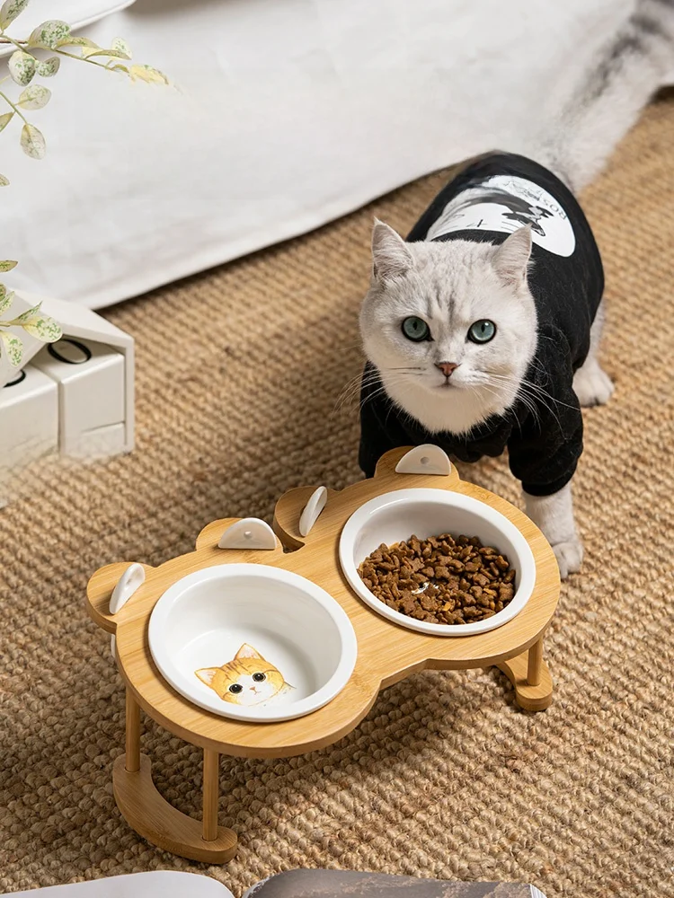 猫飼いが買ってよかったもの・悪かったもの正直に言う｜食器選びの実際の声とポイント